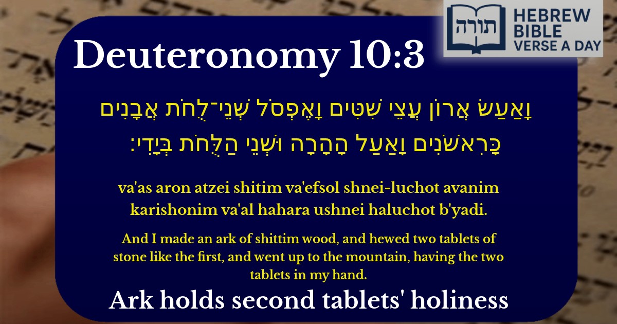 Deuteronomy 10:3 - דברים 10:3
