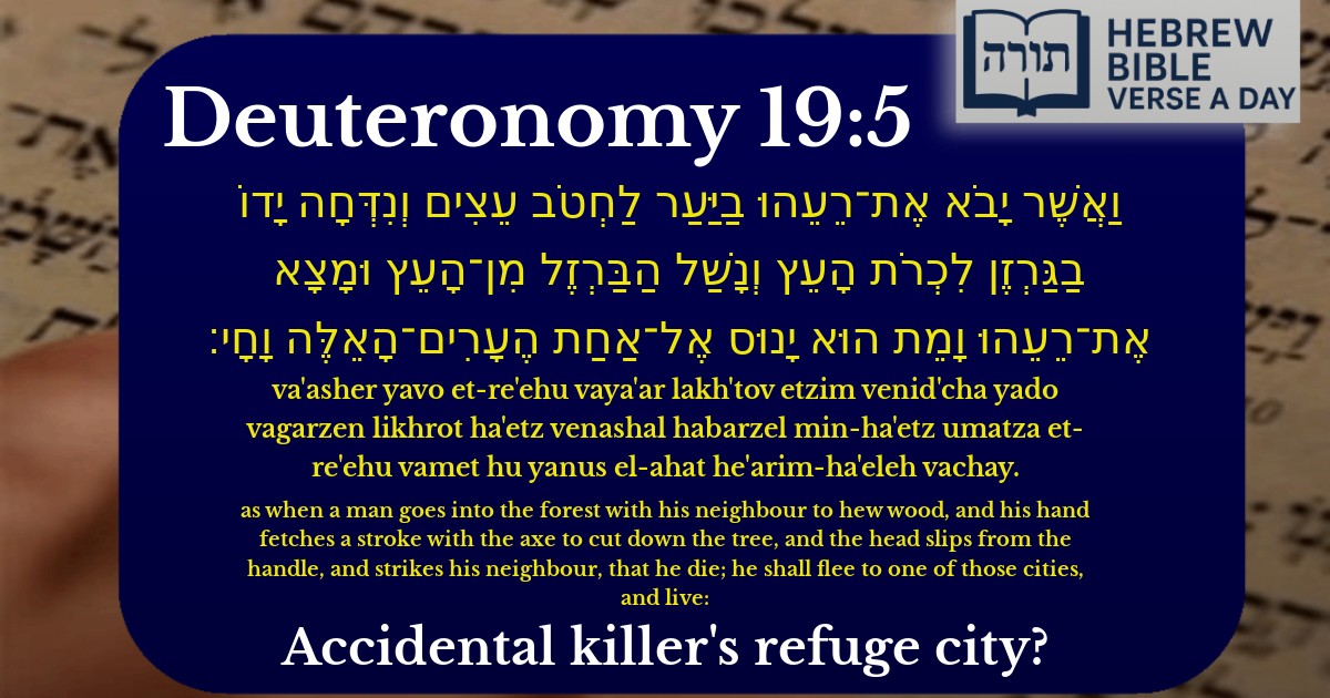 Deuteronomy 19:5 - דברים 19:5