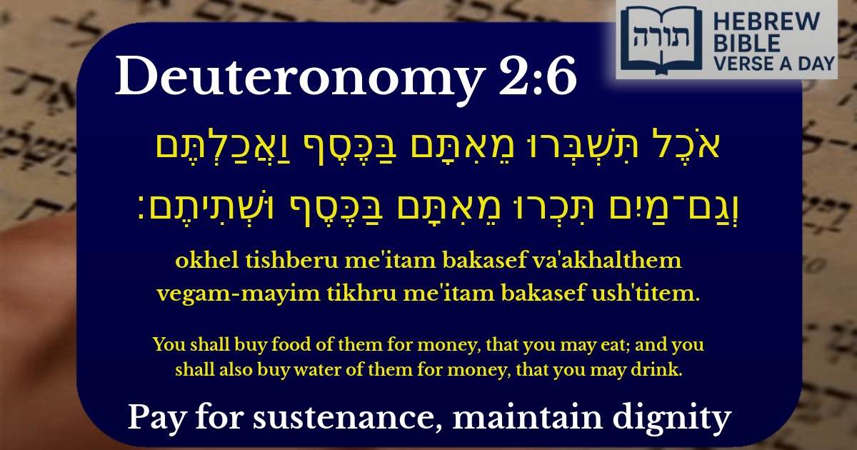 Deuteronomy 2:6 - דברים 2:6
