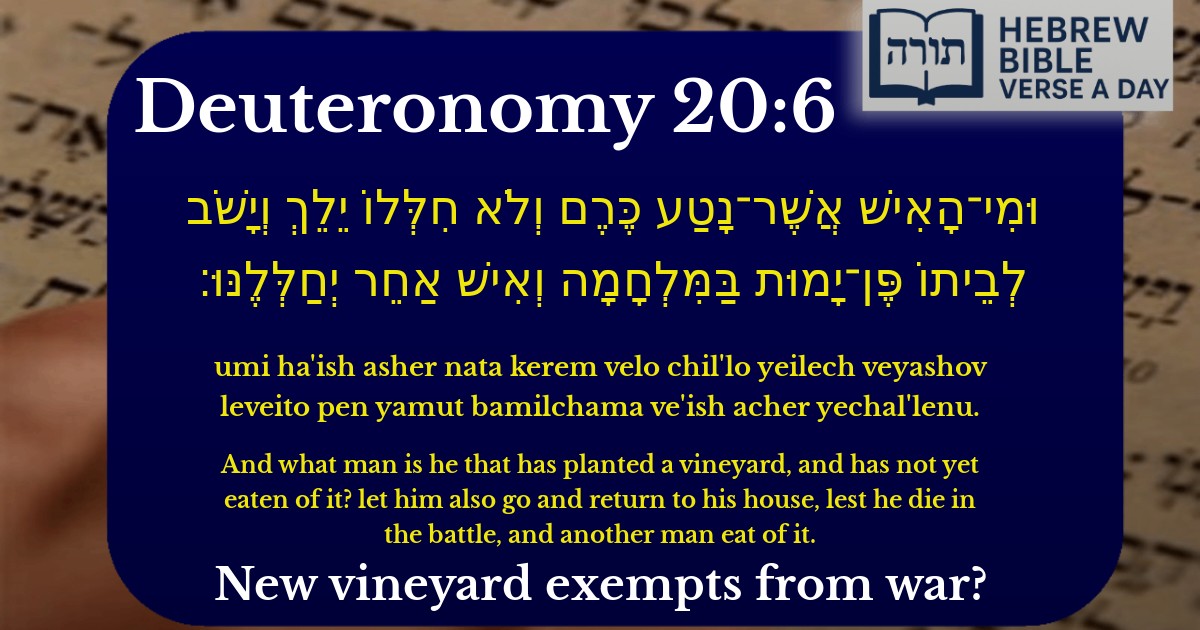 Deuteronomy 20:6 - דברים 20:6