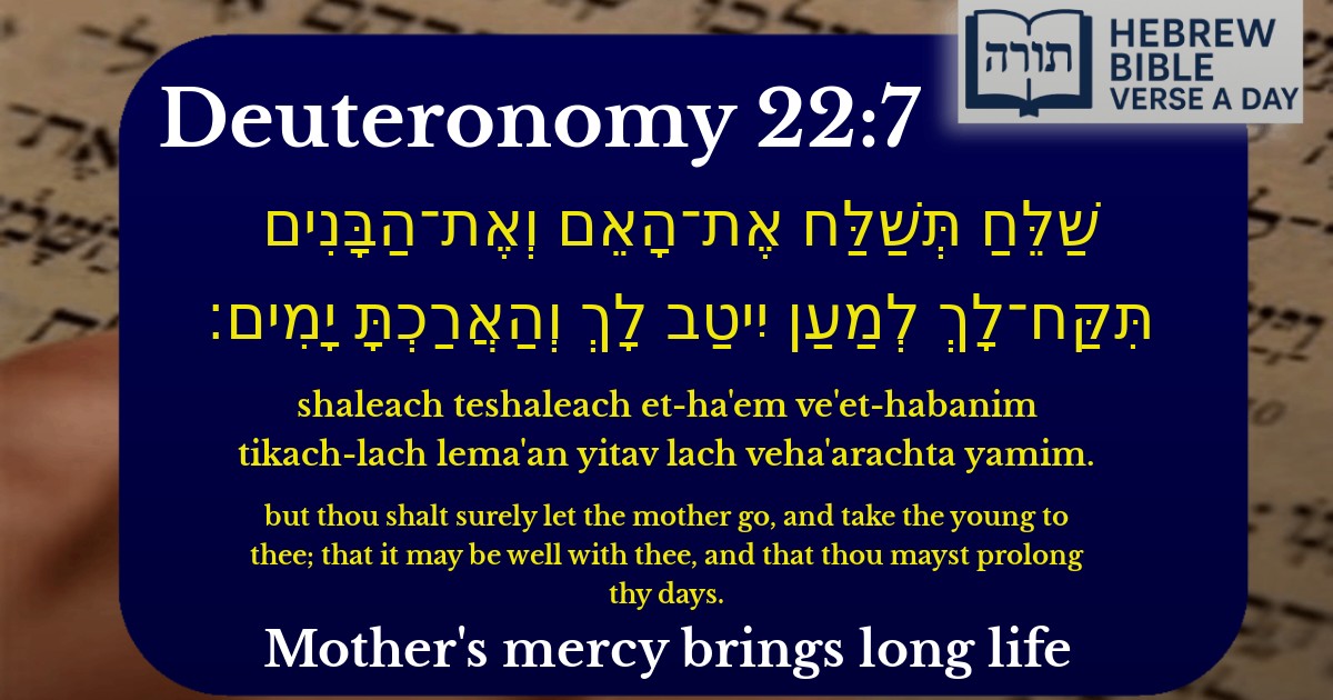 Deuteronomy 22:7 - דברים 22:7