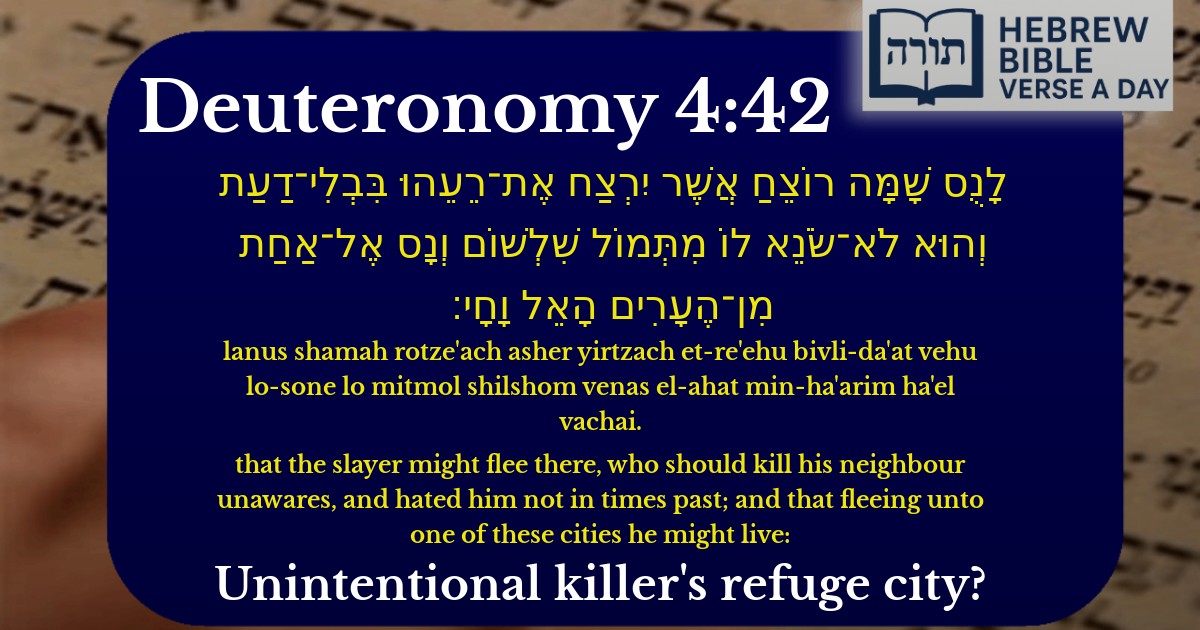 Deuteronomy 4:42 - דברים 4:42