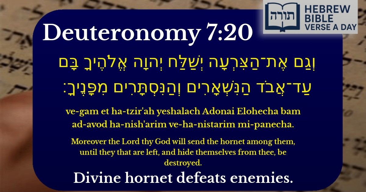 Deuteronomy 7:20 - דברים 7:20