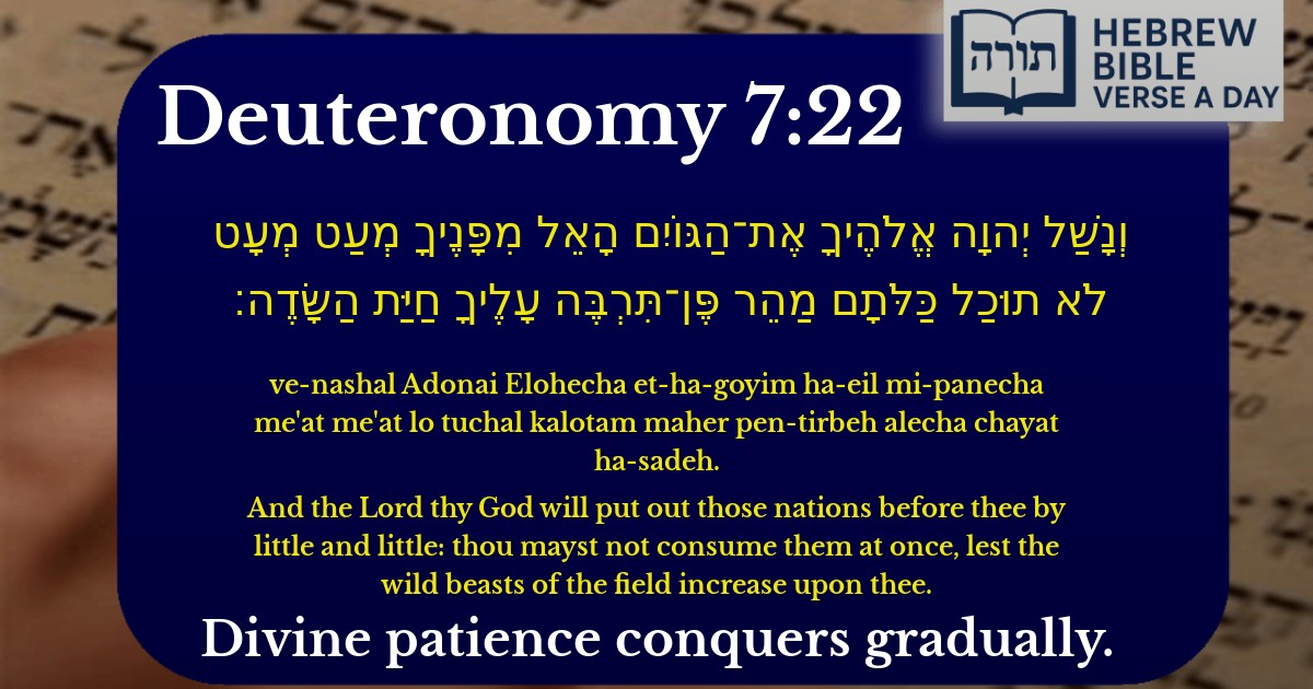 Deuteronomy 7:22 - דברים 7:22