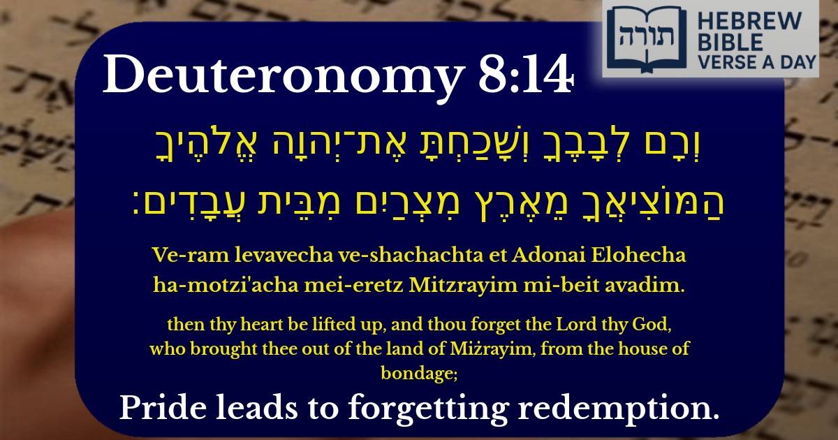 Deuteronomy 8:14 - דברים 8:14
