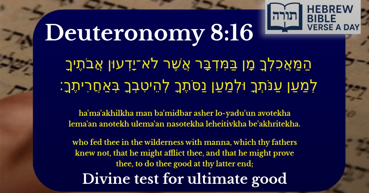 Deuteronomy 8:16 - דברים 8:16