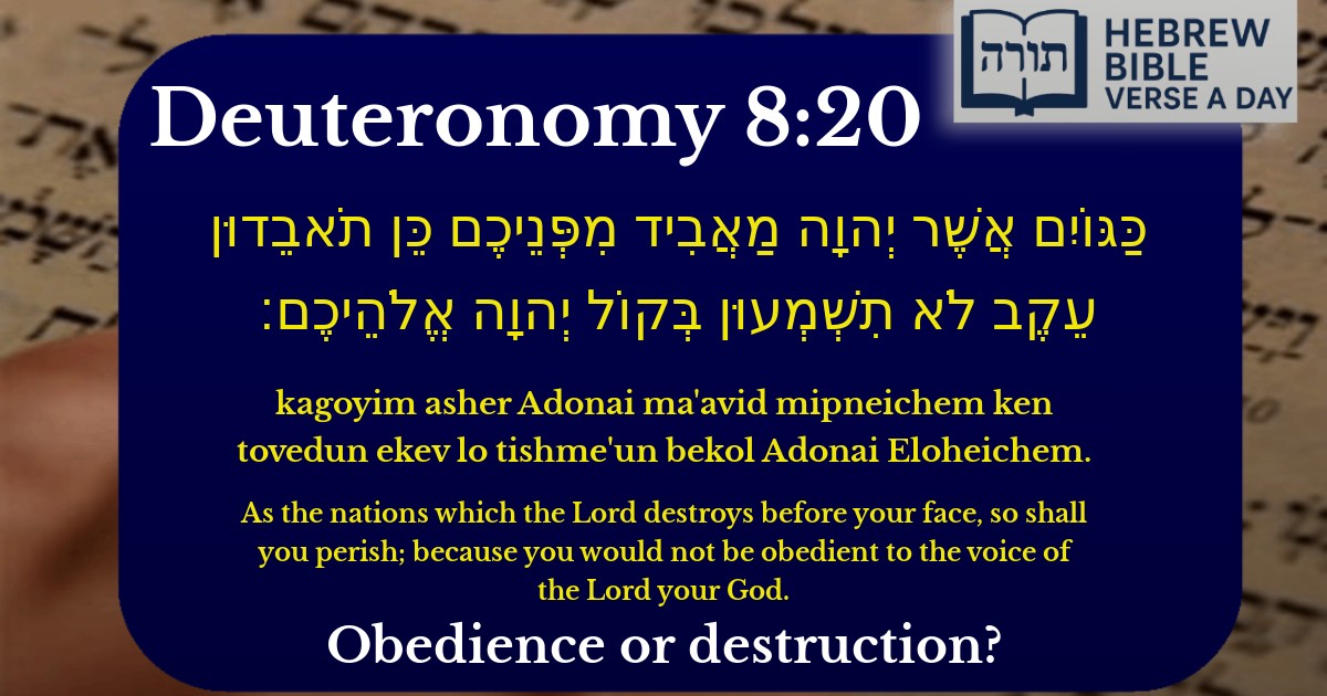 Deuteronomy 8:20 - דברים 8:20