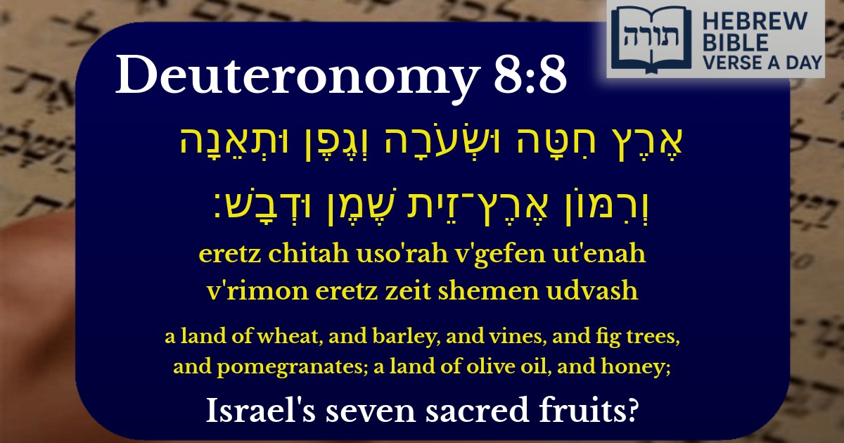 Deuteronomy 8:8 - דברים 8:8