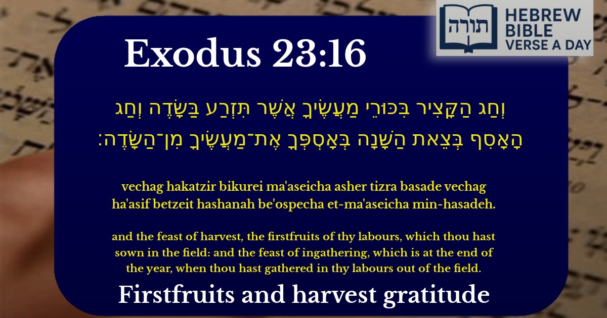 Exodus 23:16 - שמות 23:16