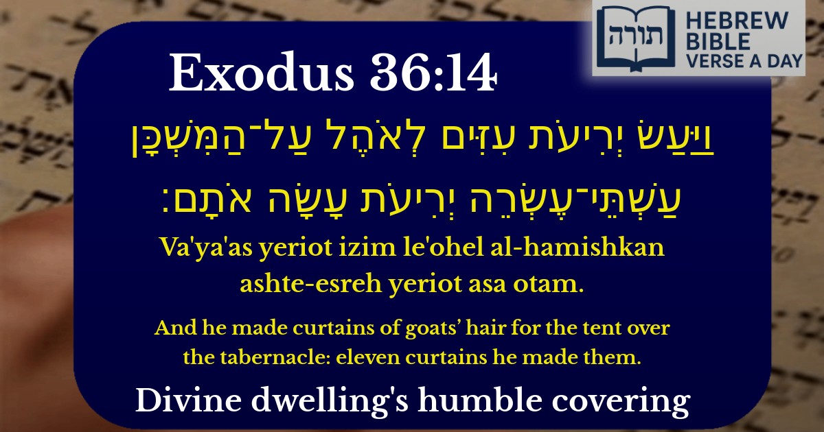 Exodus 36:14 - שמות 36:14