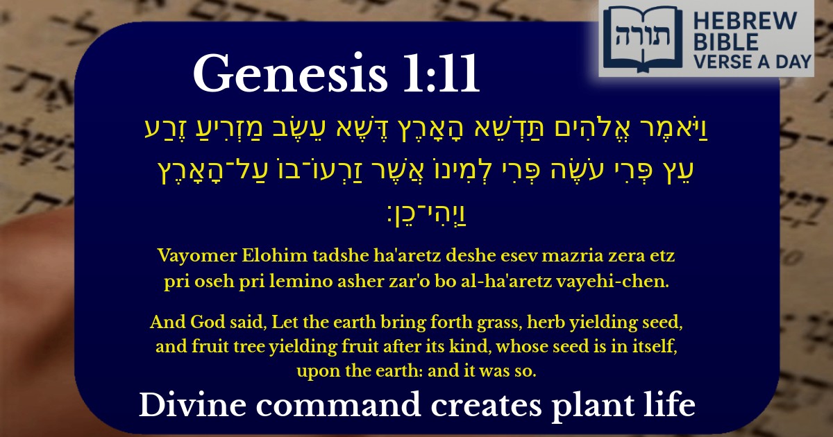 Genesis 1:11 - בראשית 1:11