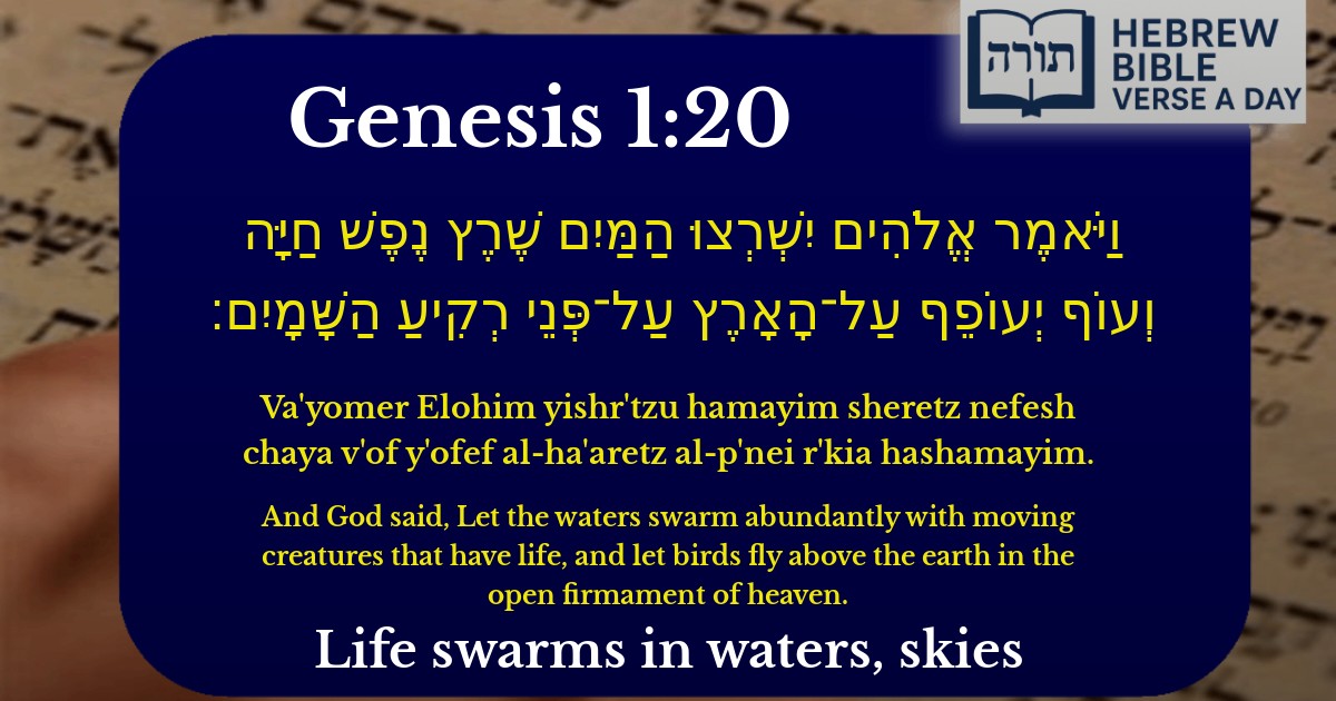 Genesis 1:20 - בראשית 1:20