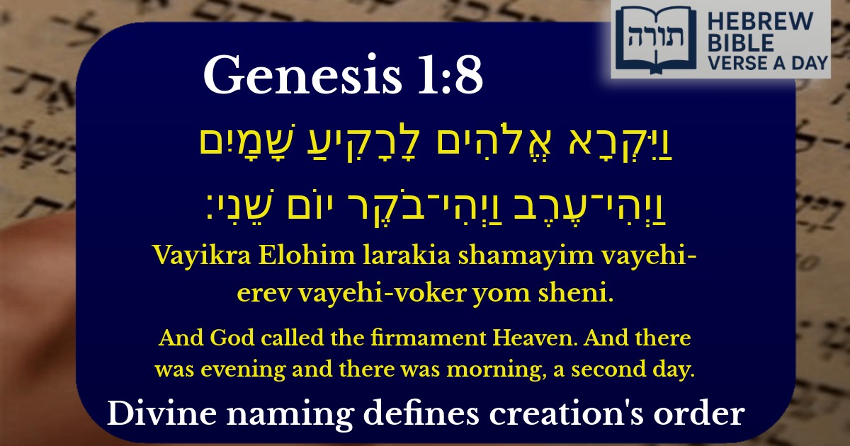 Genesis 1:8 - בראשית 1:8