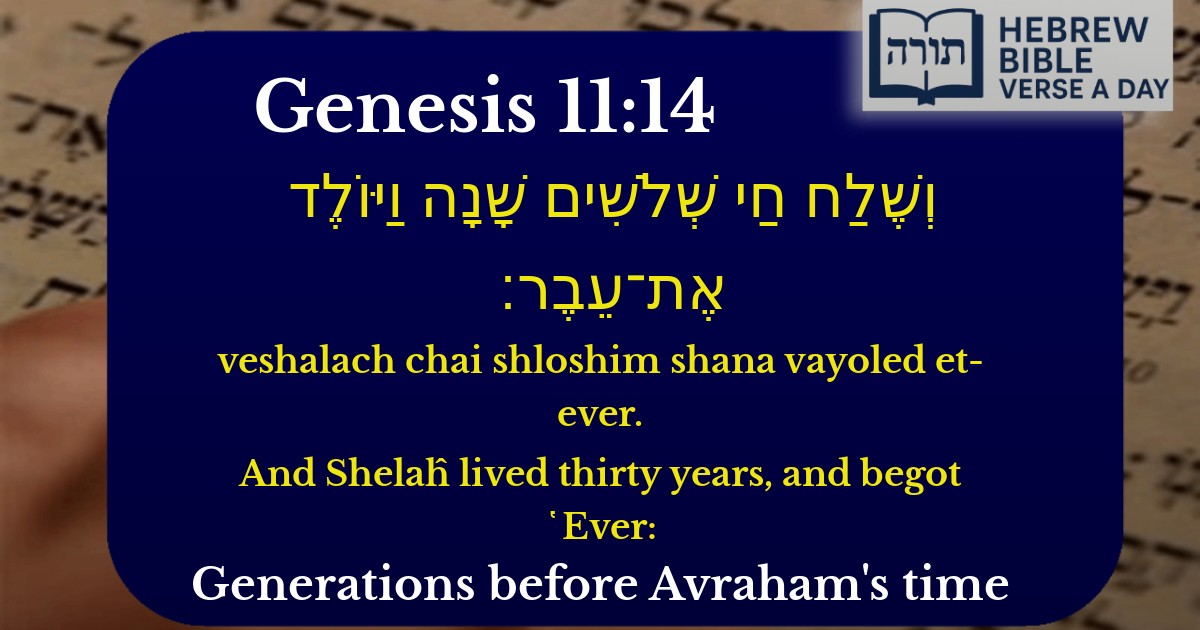 Genesis 11:14 - בראשית 11:14