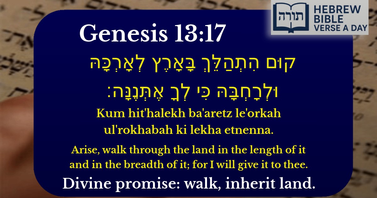 Genesis 13:17 - בראשית 13:17