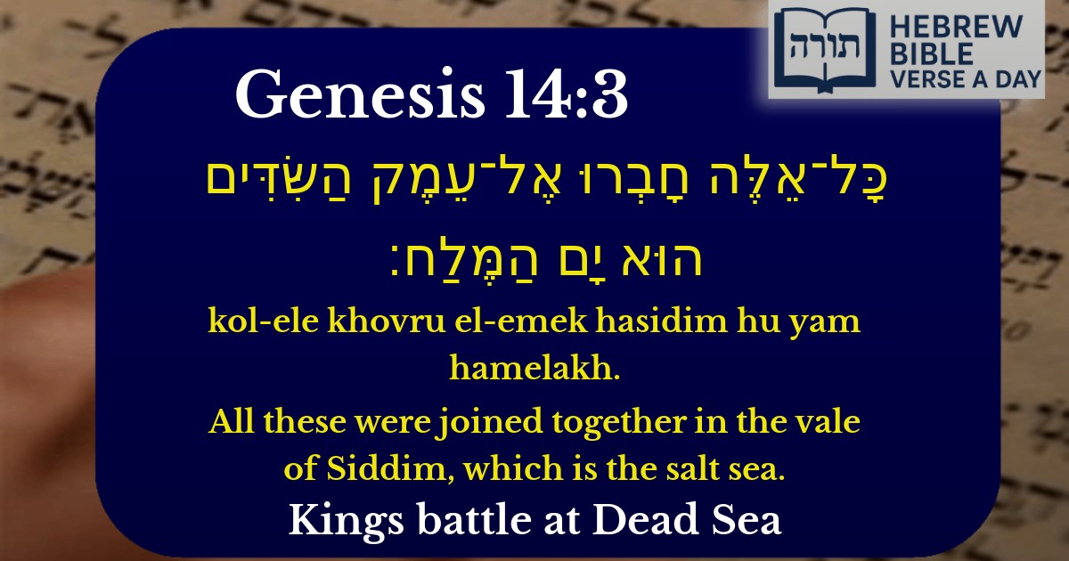 Genesis 14:3 - בראשית 14:3