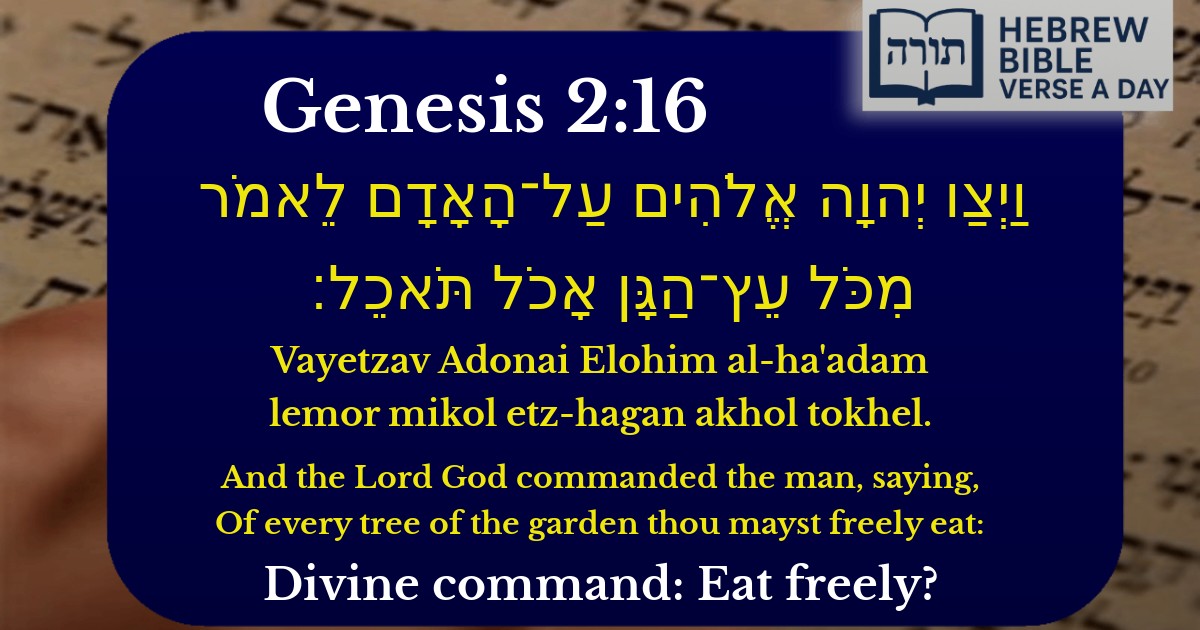 Genesis 2:16 - בראשית 2:16