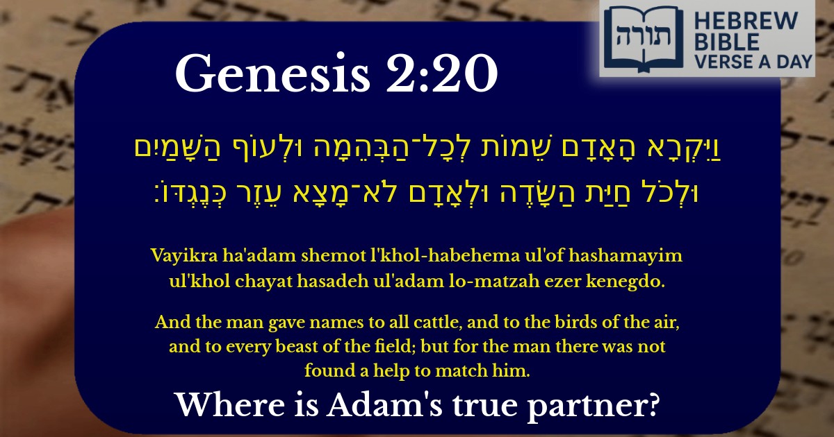 Genesis 2:20 - בראשית 2:20