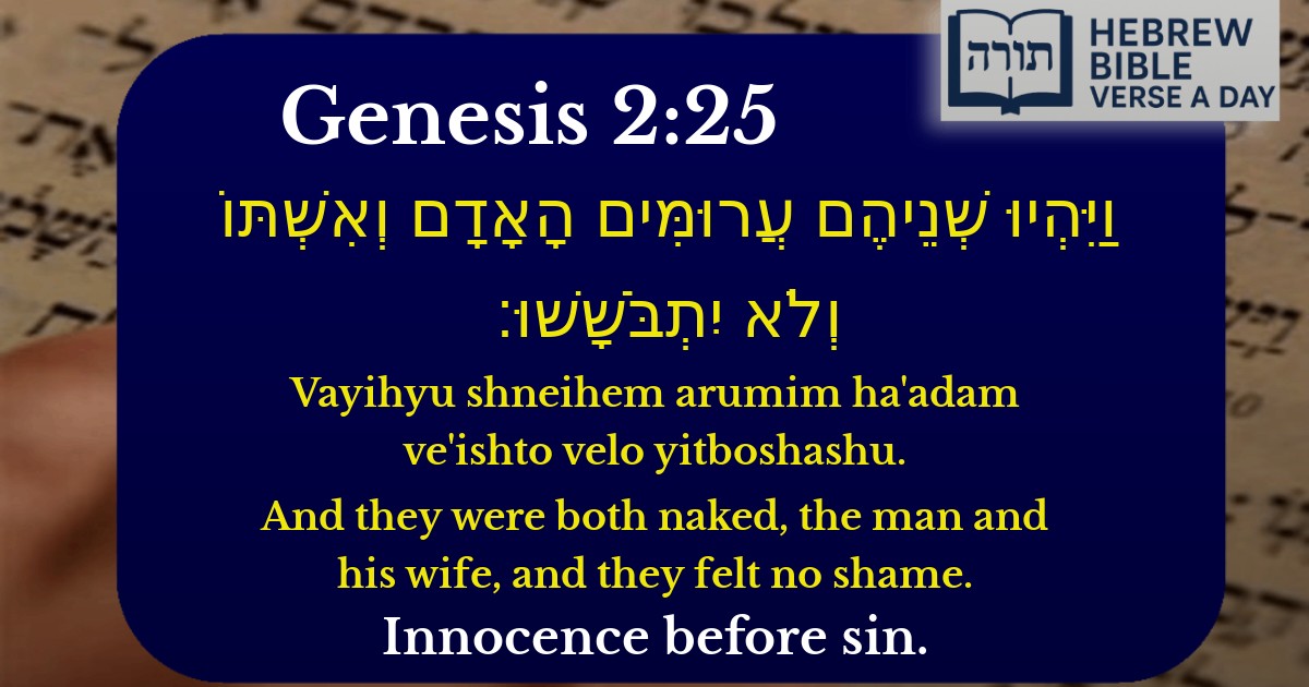Genesis 2:25 - בראשית 2:25