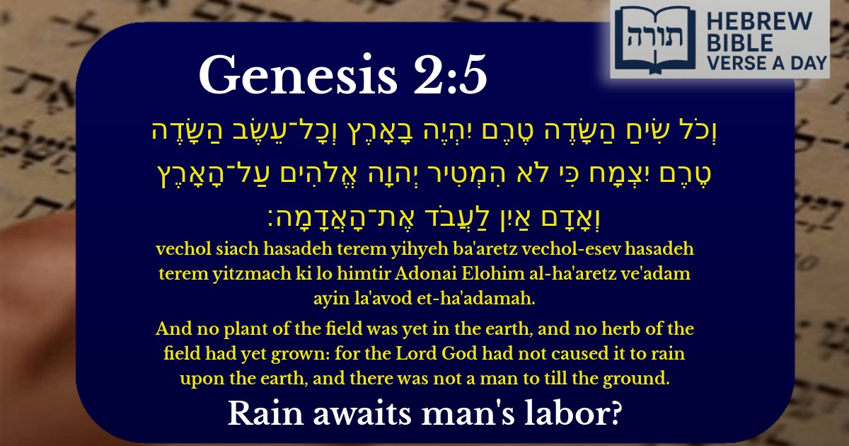 Genesis 2:5 - בראשית 2:5