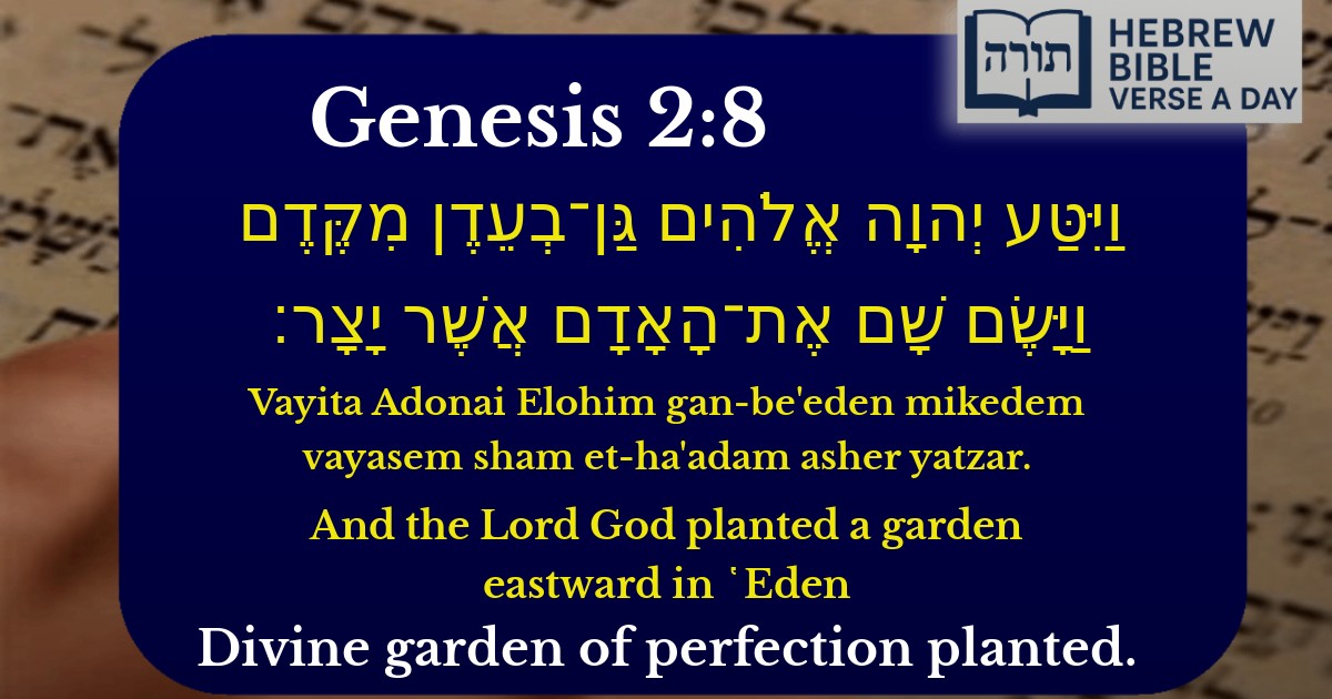Genesis 2:8 - בראשית 2:8
