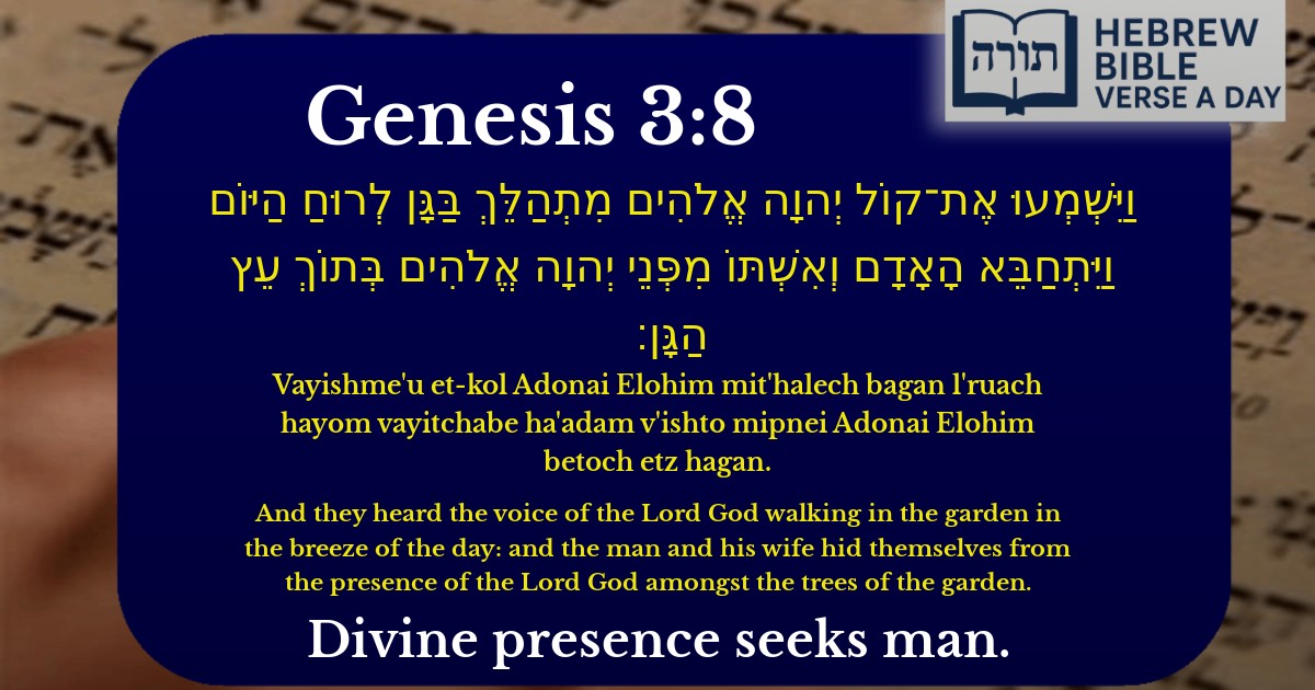 Genesis 3:8 - בראשית 3:8