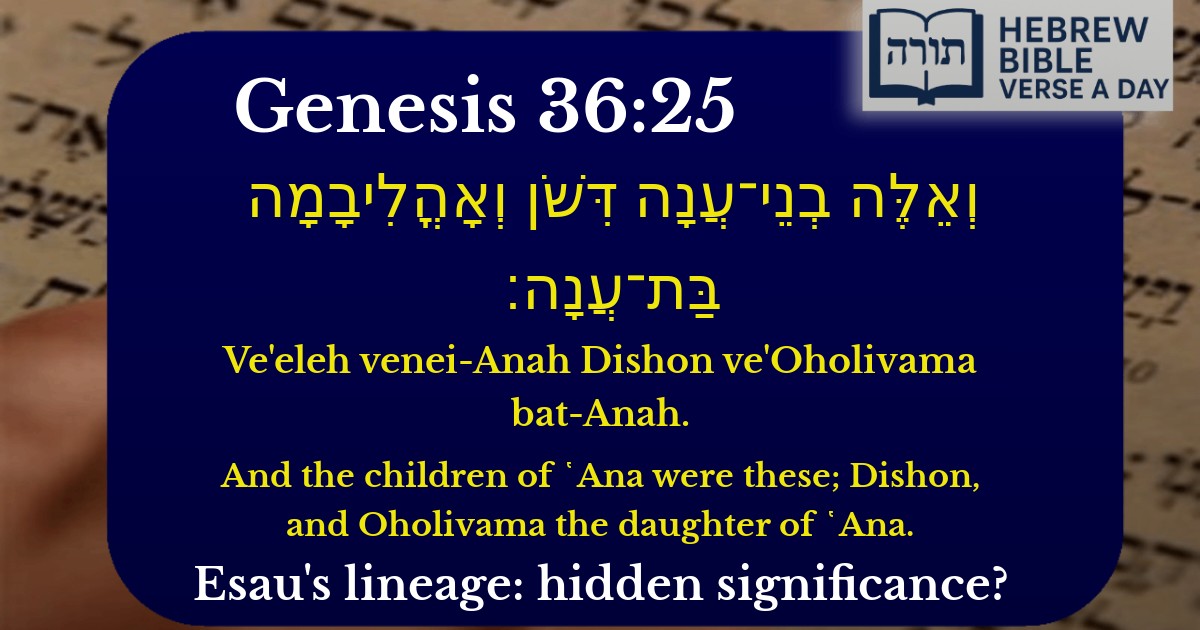 Genesis 36:25 - בראשית 36:25