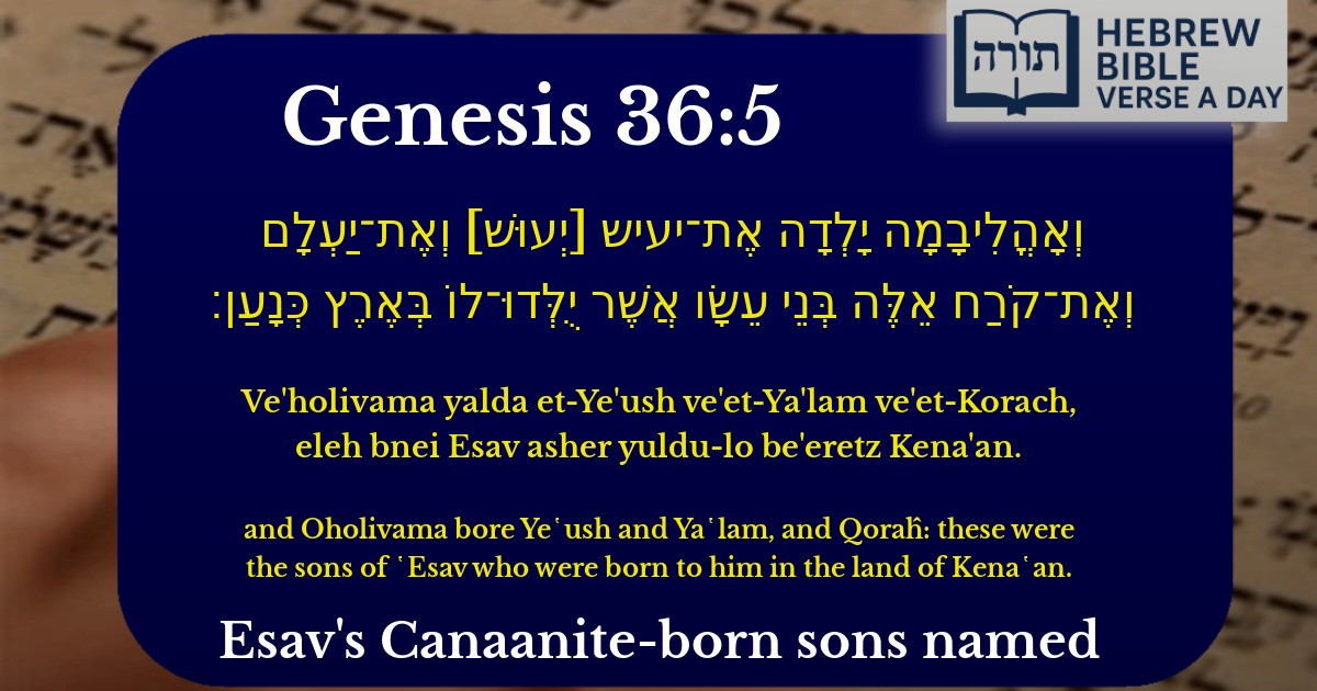 Genesis 36:5 - בראשית 36:5