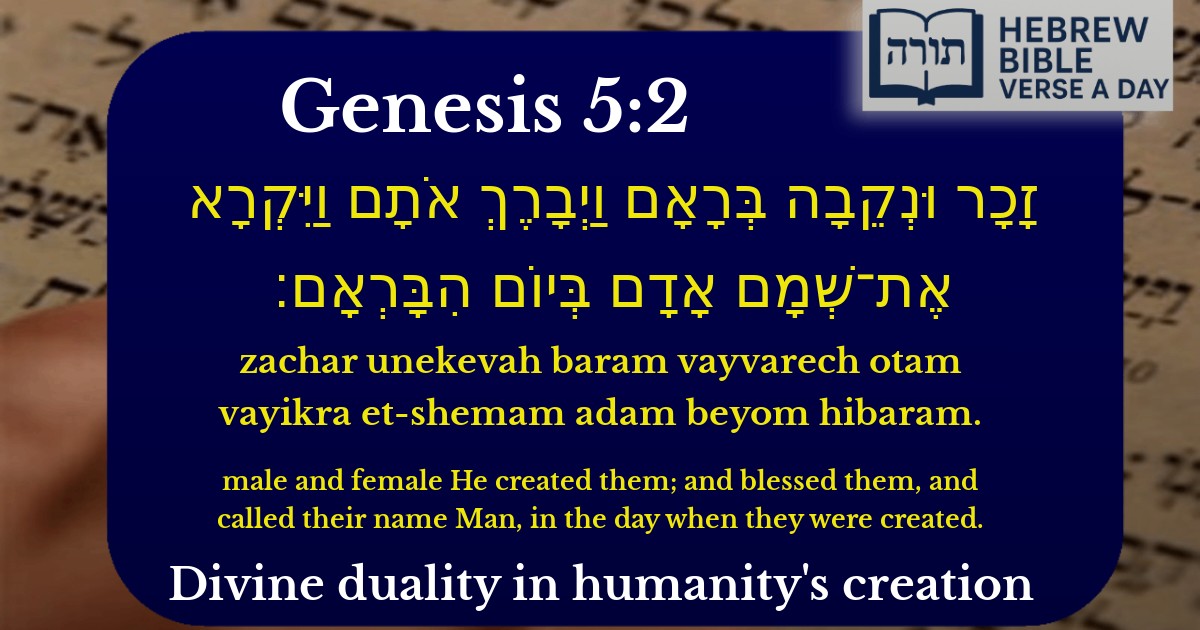 Genesis 5:2 - בראשית 5:2