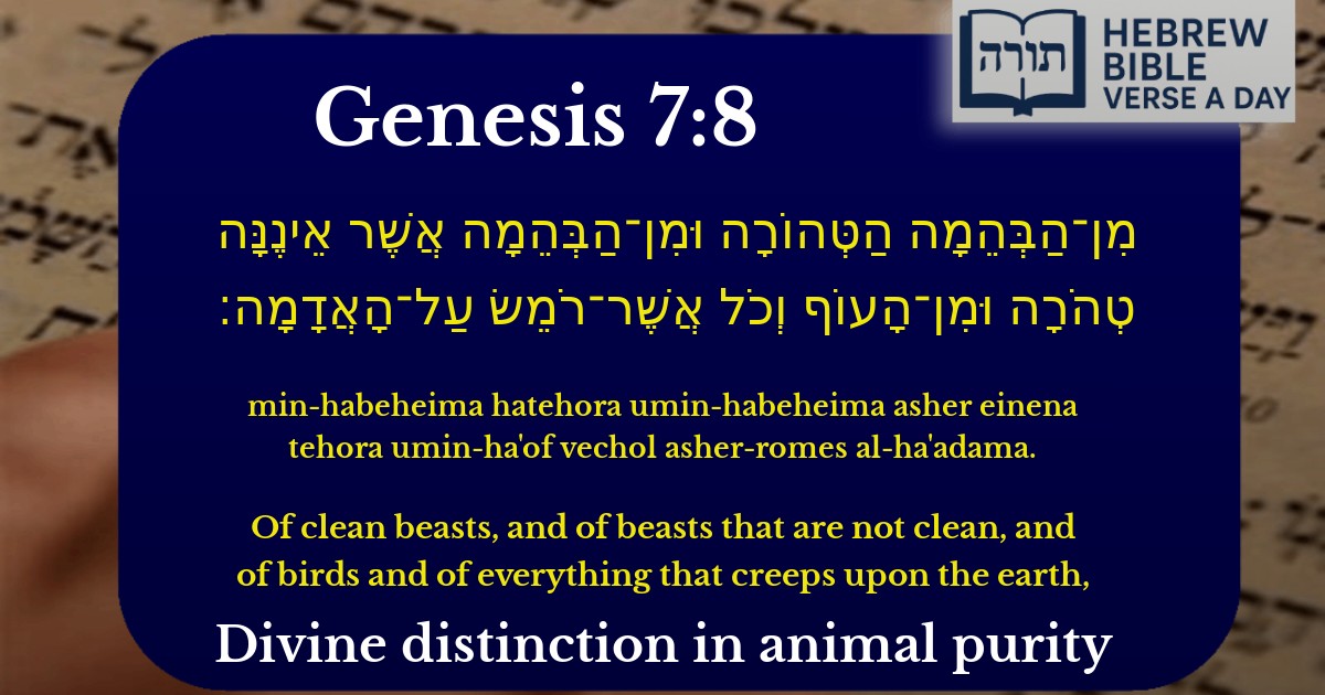 Genesis 7:8 - בראשית 7:8