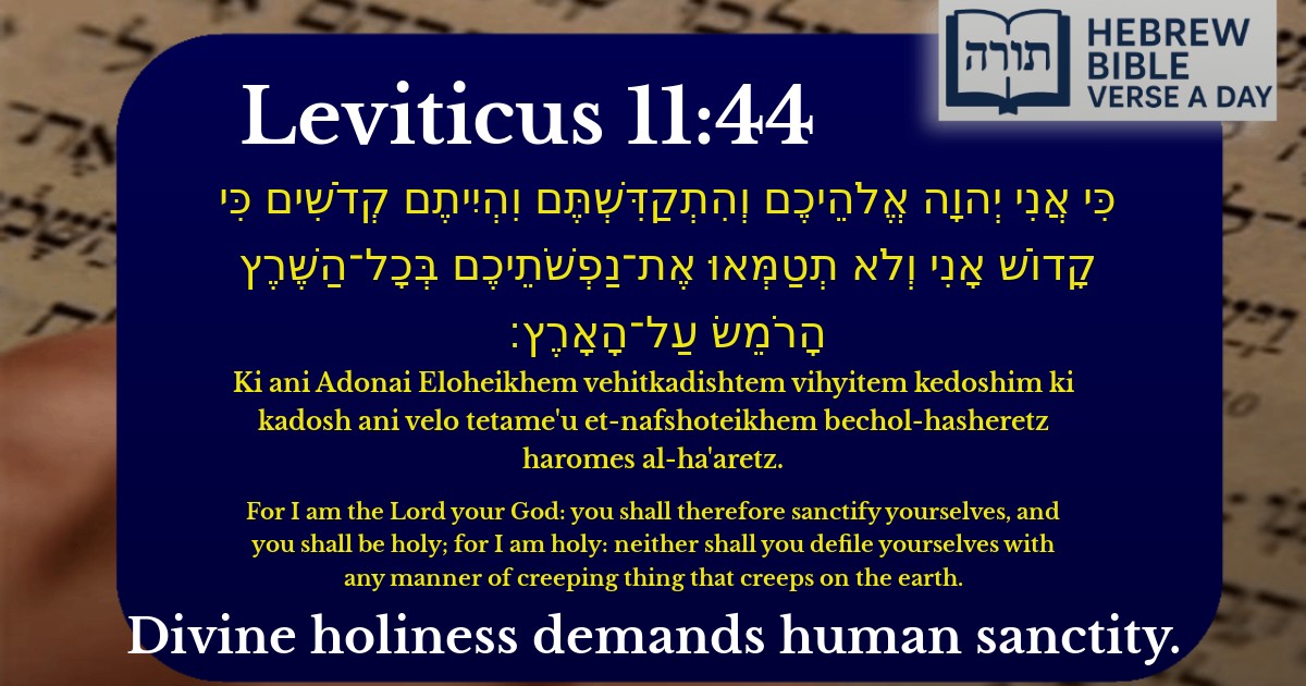 Leviticus 11:44 - ויקרא 11:44