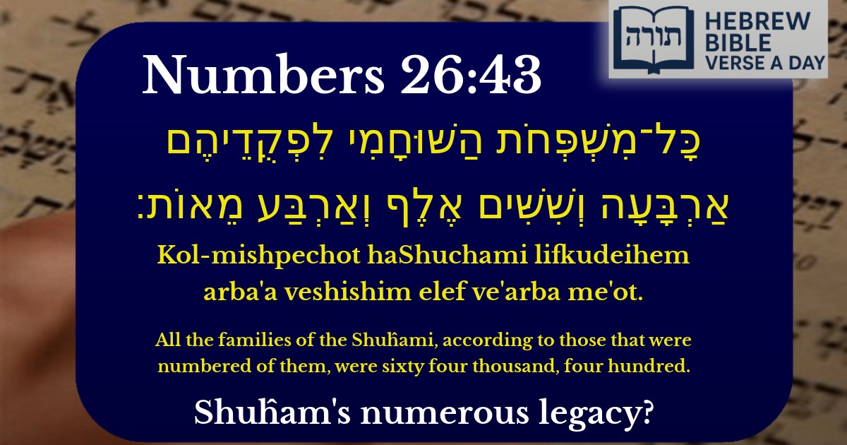 Numbers 26:43 - במדבר 26:43