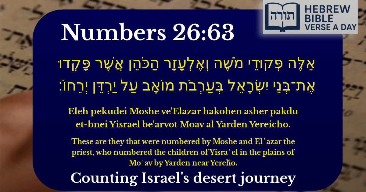 Numbers 26:63 - במדבר 26:63