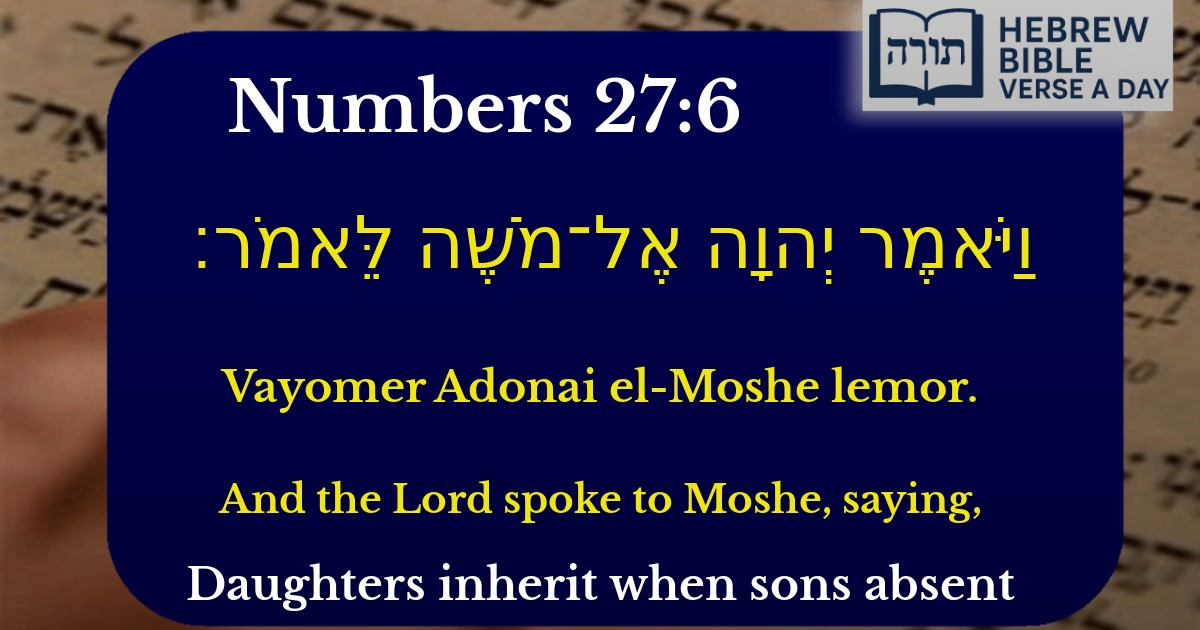 Numbers 27:6 - במדבר 27:6
