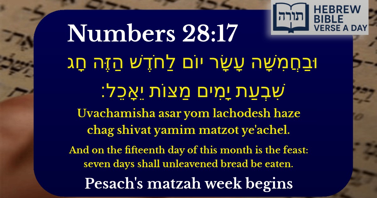 Numbers 28:17 - במדבר 28:17