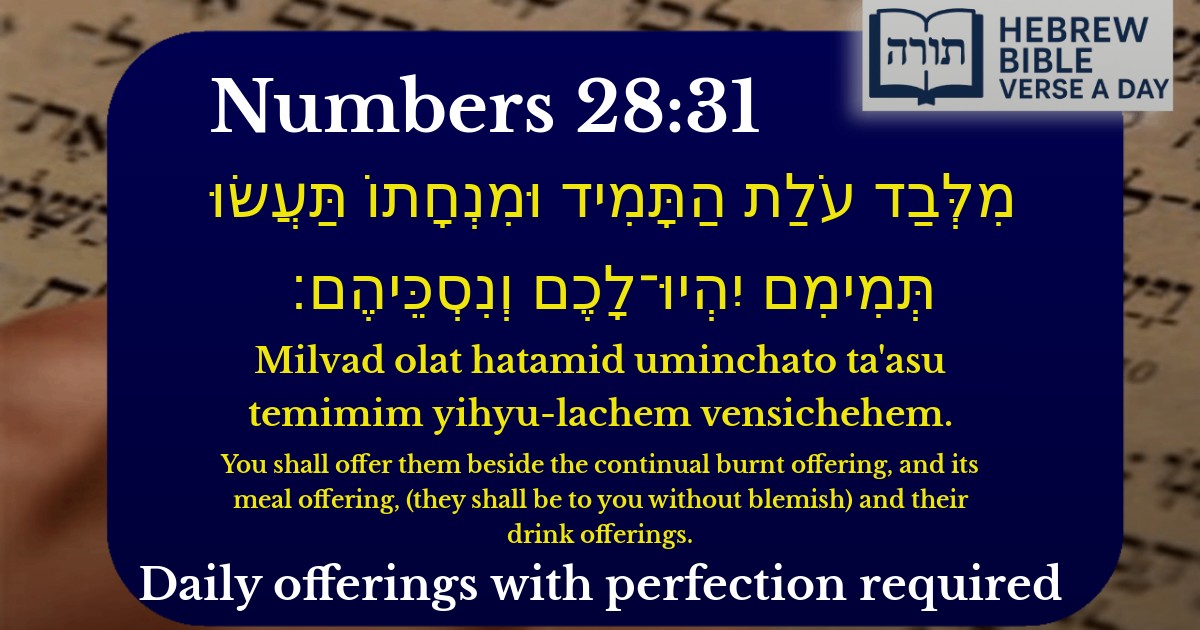 Numbers 28:31 - במדבר 28:31