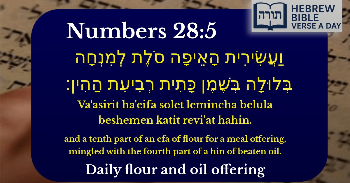 Numbers 28:5 - במדבר 28:5