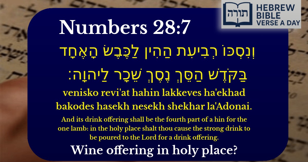 Numbers 28:7 - במדבר 28:7
