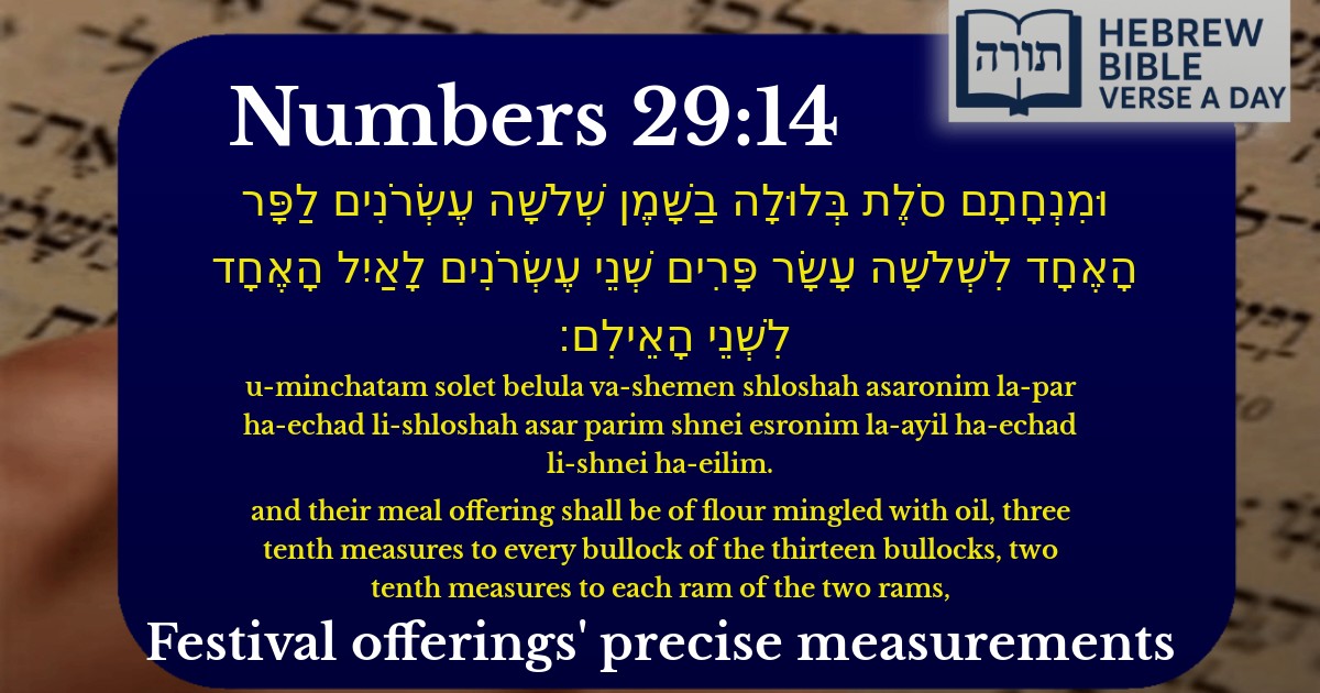 Numbers 29:14 - במדבר 29:14