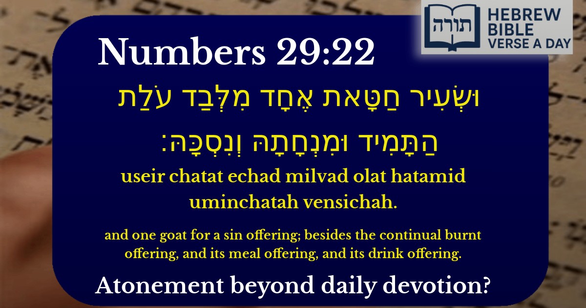 Numbers 29:22 - במדבר 29:22