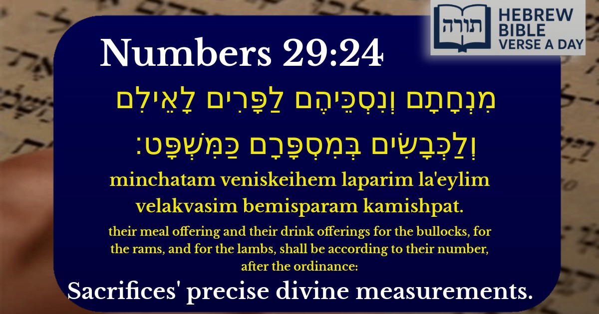 Numbers 29:24 - במדבר 29:24