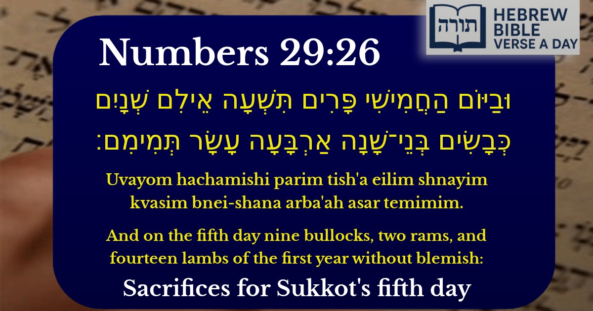 Numbers 29:26 - במדבר 29:26