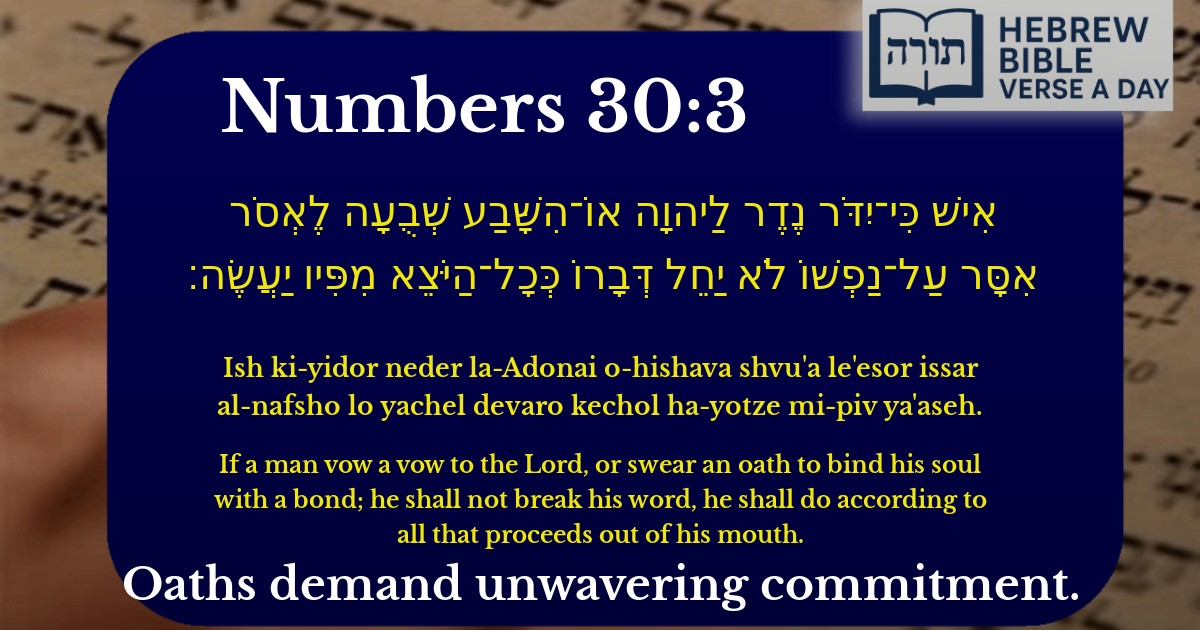Numbers 30:3 - במדבר 30:3