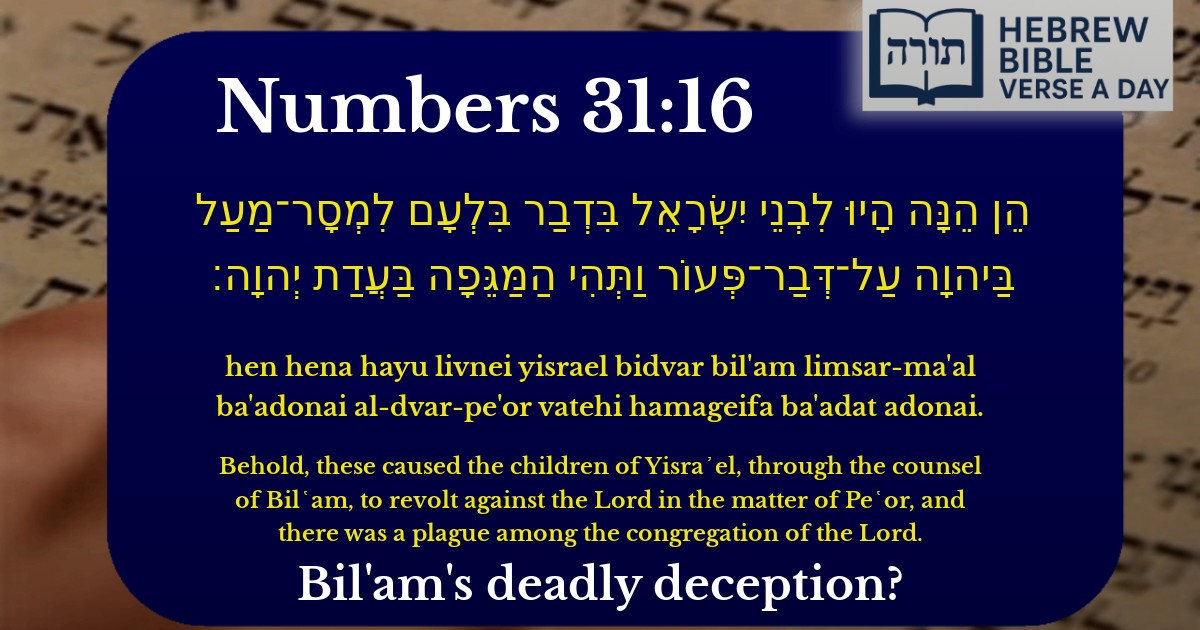 Numbers 31:16 - במדבר 31:16