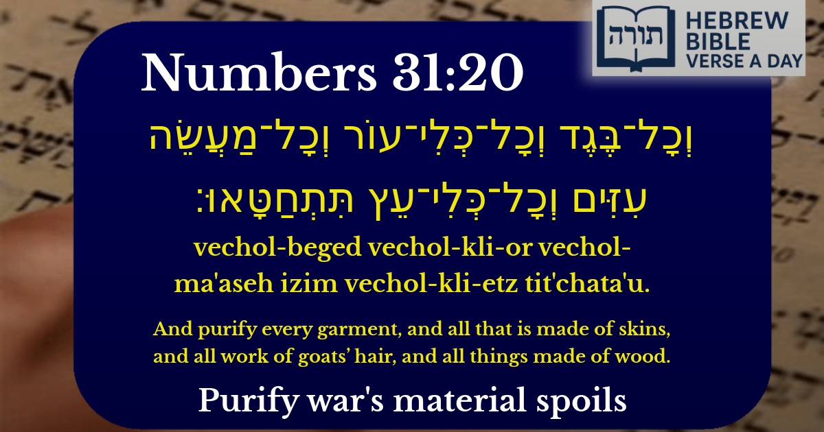 Numbers 31:20 - במדבר 31:20