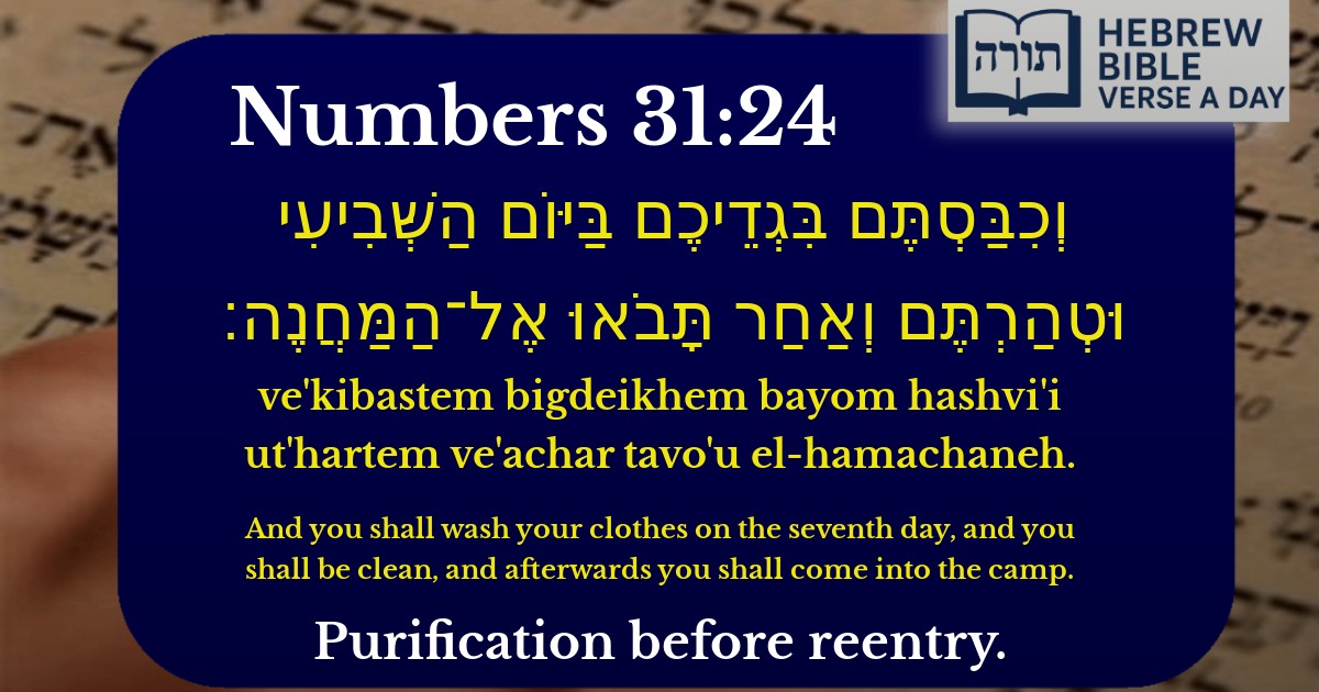 Numbers 31:24 - במדבר 31:24