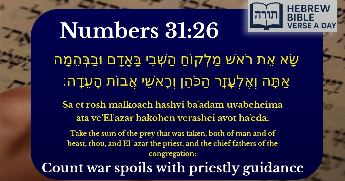 Numbers 31:26 - במדבר 31:26