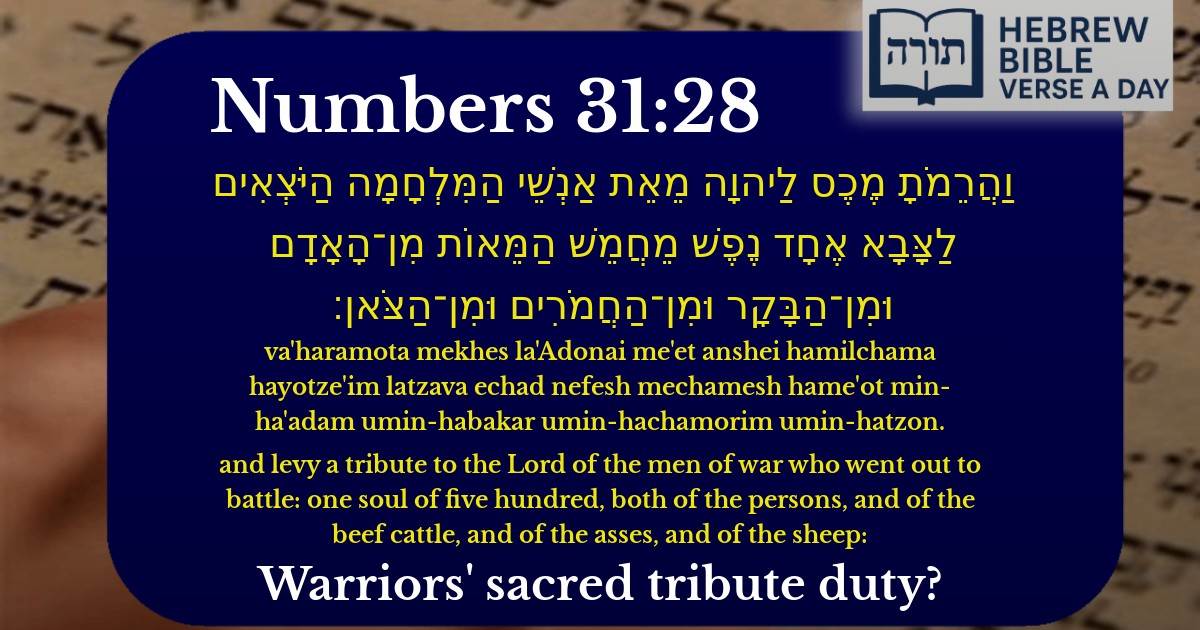 Numbers 31:28 - במדבר 31:28