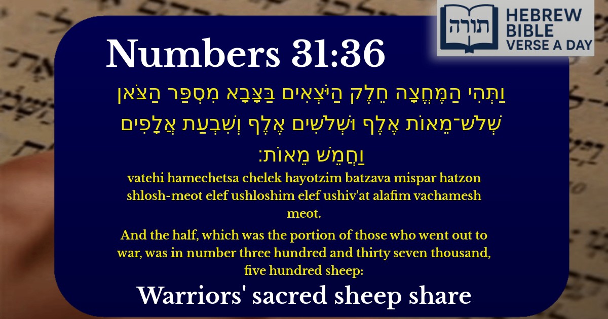 Numbers 31:36 - במדבר 31:36