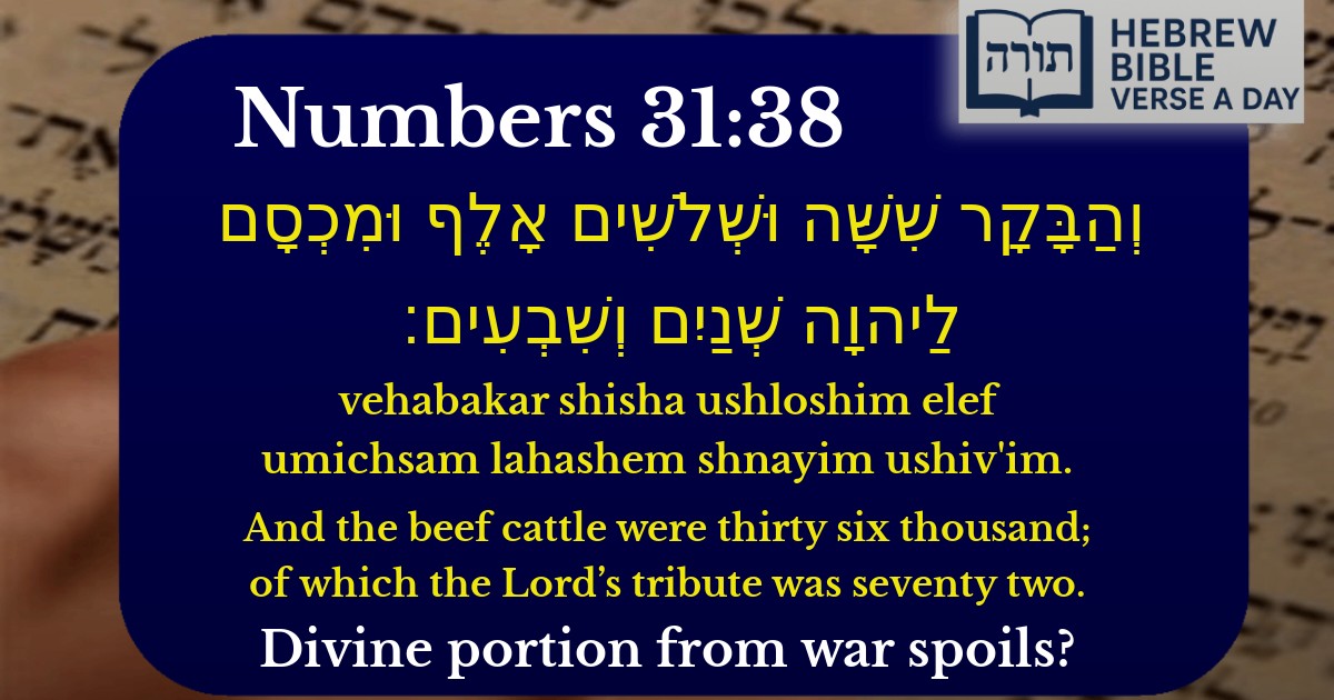 Numbers 31:38 - במדבר 31:38